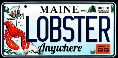 Fresh Maine Lobster